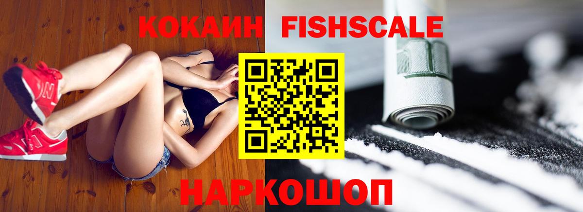 Зима  Cocaine Fish Scale  Cocaine  Вход с VPN 