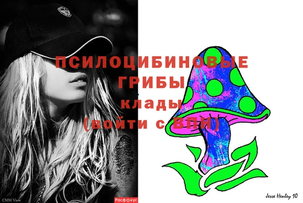 бошки Иннополис