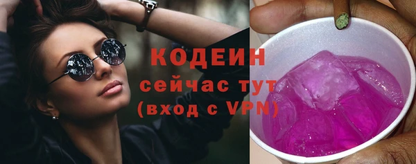 мет Инсар