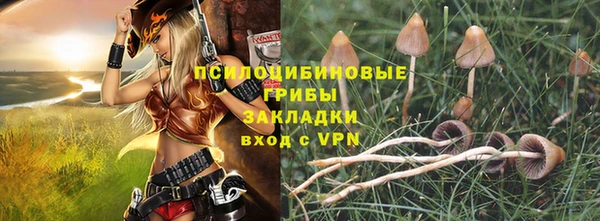 каннабис Инта