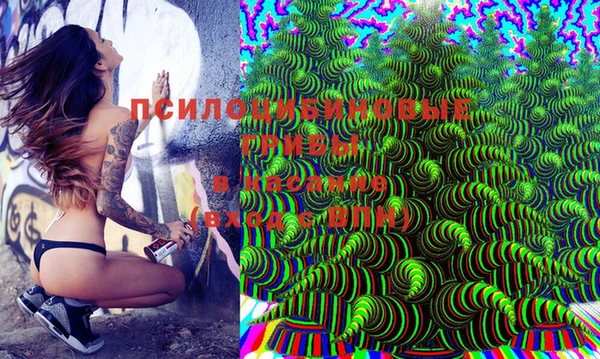 бошки Иннополис
