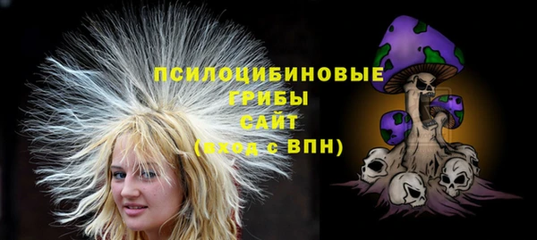 бошки Иннополис