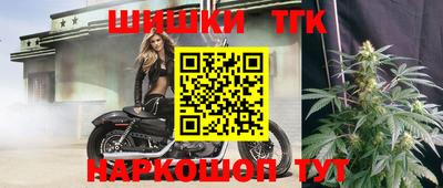 mdpv Заводоуковск