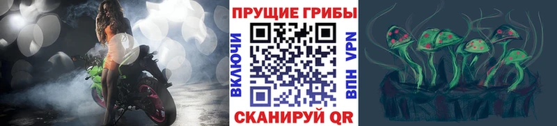 продажа наркотиков  Зима  Псилоцибиновые грибы MAGIC MUSHROOMS 