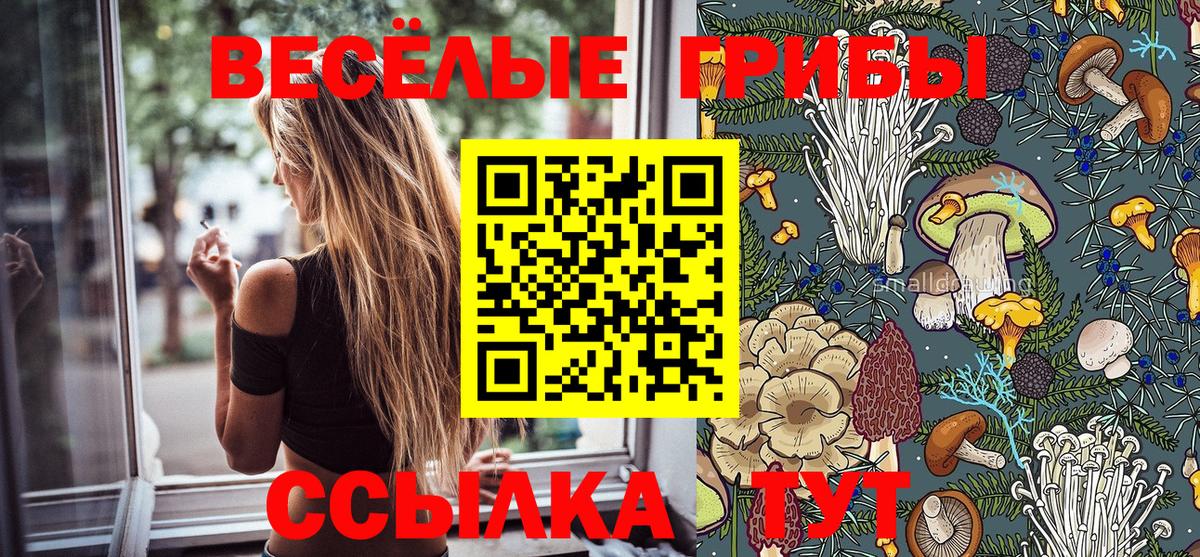 Псилоцибиновые грибы Magic Shrooms  Вход с VPN  хочу наркоту  Зима 