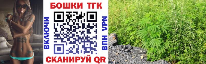Бошки Шишки THC 21%  продажа наркотиков  Зима 